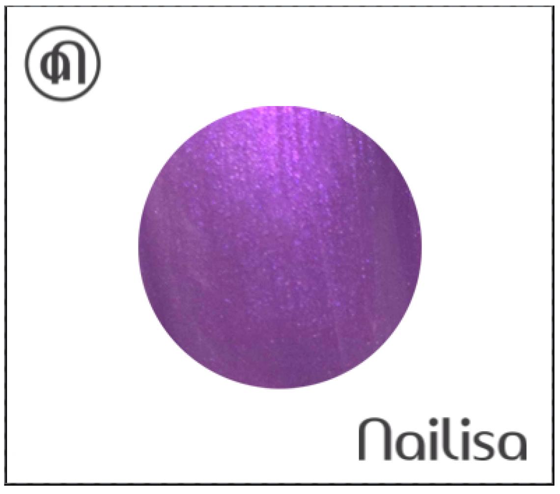 Gel de couleur Purple Rain - Nailisa - photo 13