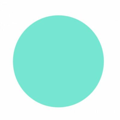 Gel de couleur - Pastel Menthe - 5 gr