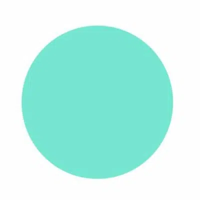 Gel de couleur - Pastel Menthe - 5 gr