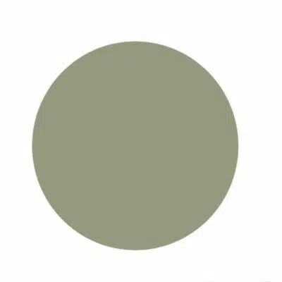 Gel de couleur - Army - 5 gr