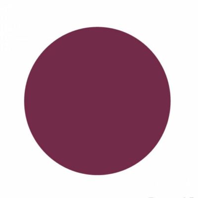 Gel de couleur - Aubergine - 5 gr