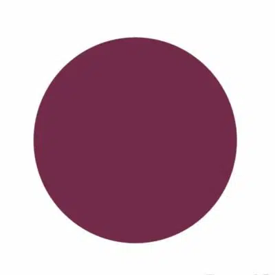 Gel de couleur - Aubergine - 5 gr