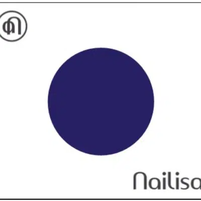 Painting Gel Sponge & Nail Art - Bleu de minuit 5ml