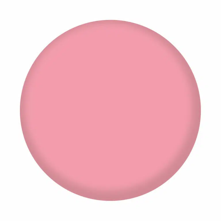 Vernis semi-permanent - Salam - 8ml – Image 2