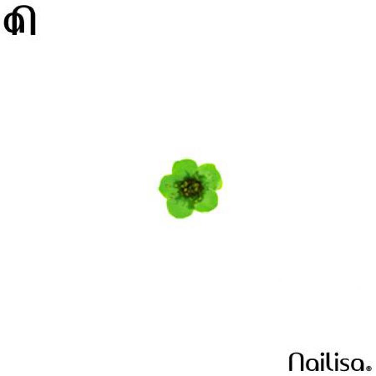 Real Flower Green - Nailisa - photo 7
