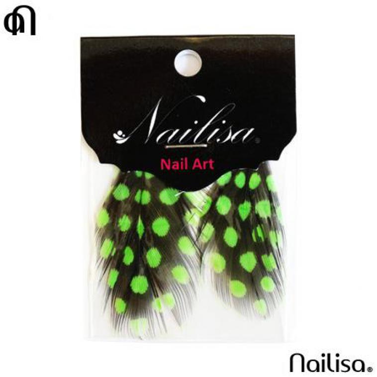 IGW 141 - Nailisa - photo 11
