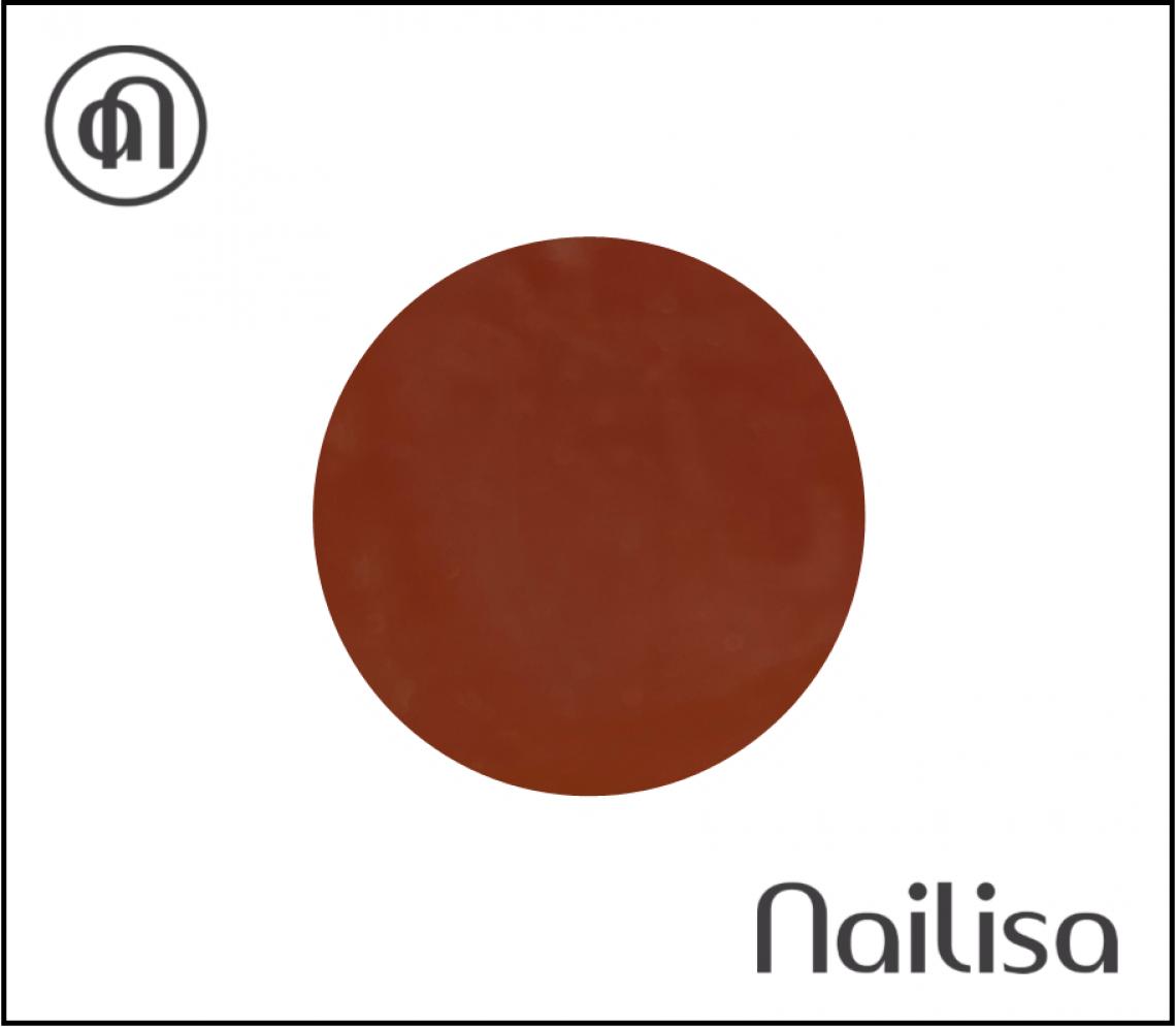 Gel de couleur - Brownie - 5gr - Nailisa - photo 14