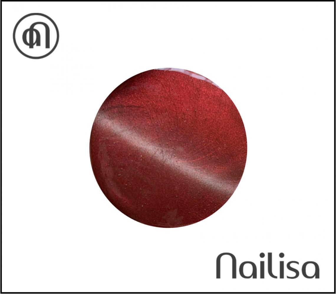 Gel de couleur Mono Kiss - Nailisa - photo 12