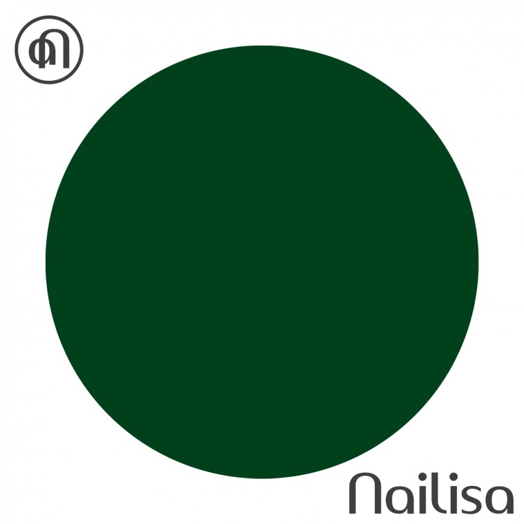 Gel de couleur - Pin - 5gr - Nailisa - photo 7