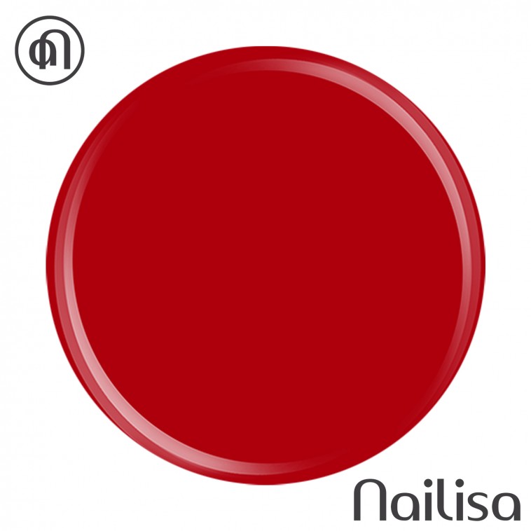Gel de couleur 1041 - Nailisa - photo 15