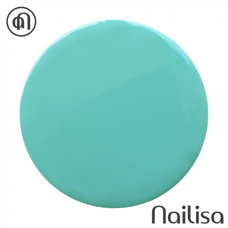 Gel de couleur Muscaris - Nailisa - photo 14