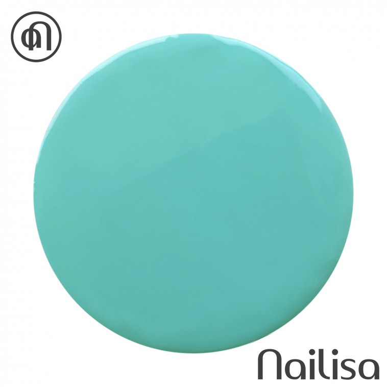 Gel de couleur - Mi Amor - Nailisa - photo 11