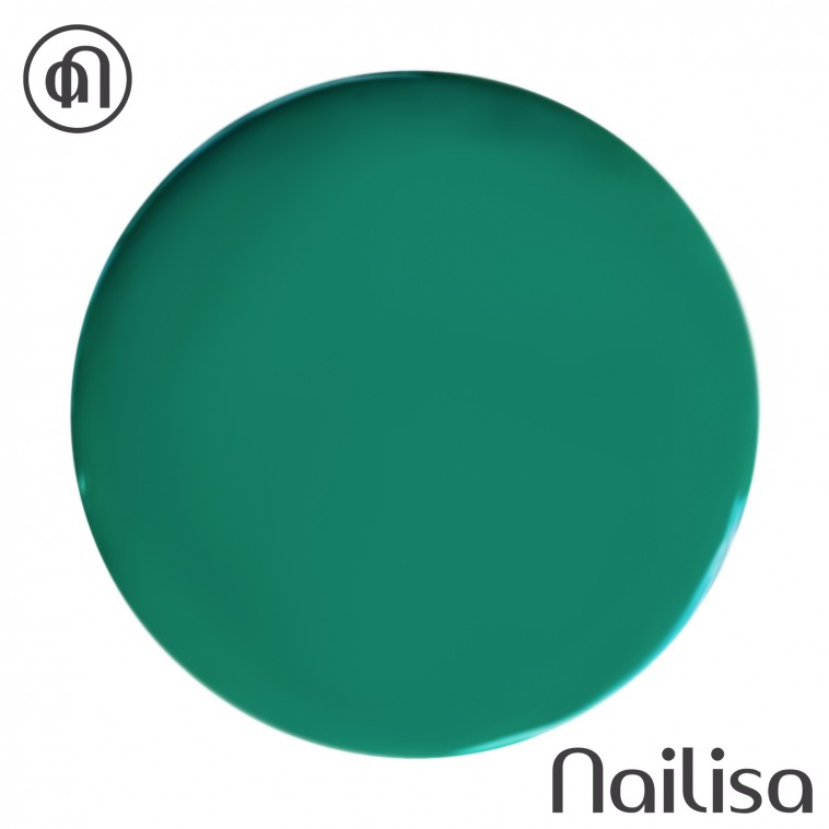 VSP-80 - Nailisa - photo 14